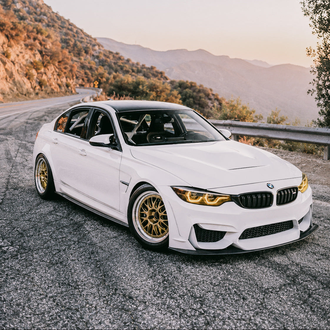 AlpineX Dynamics L Style Carbon Fiber Front Lip For BMW F8X M3 M4