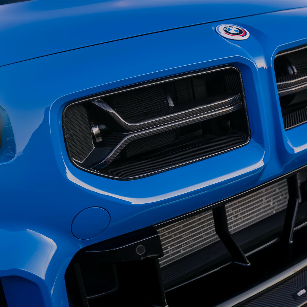 AlpineX Dynamics CSL Style Pre-preg Dry Carbon Fiber Grille For BMW G87 M2