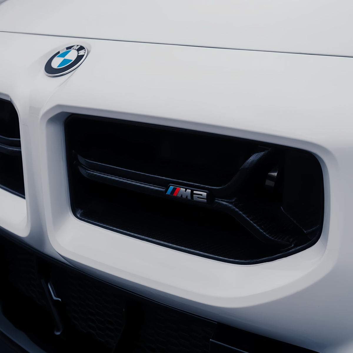 AlpineX Dynamics CSL Style Pre-preg Dry Carbon Fiber Grille For BMW G87 M2
