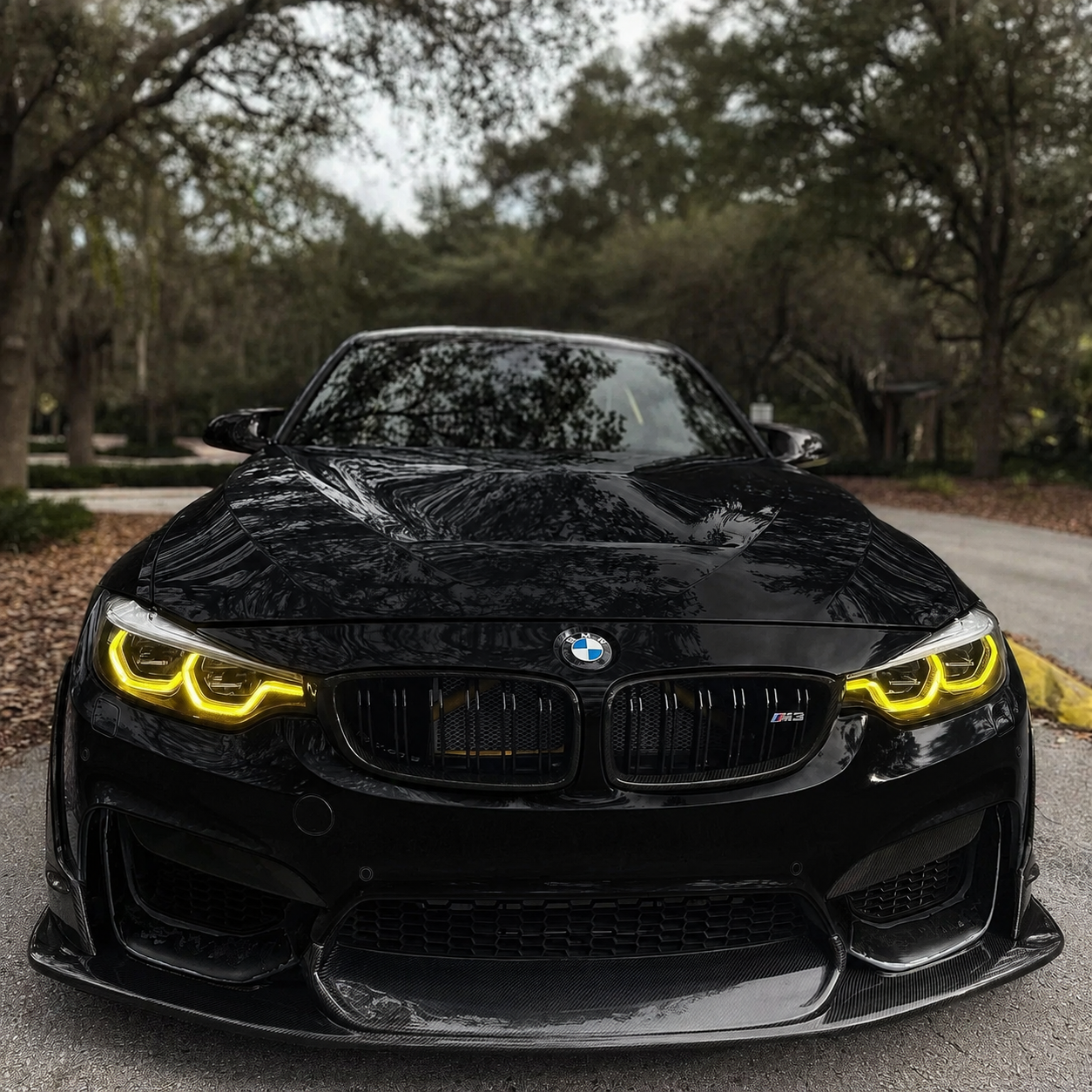 AplineX Dynamic L Style Carbon Fiber Front Lip installed on a black BMW F8X M3/M4, shown from the front.