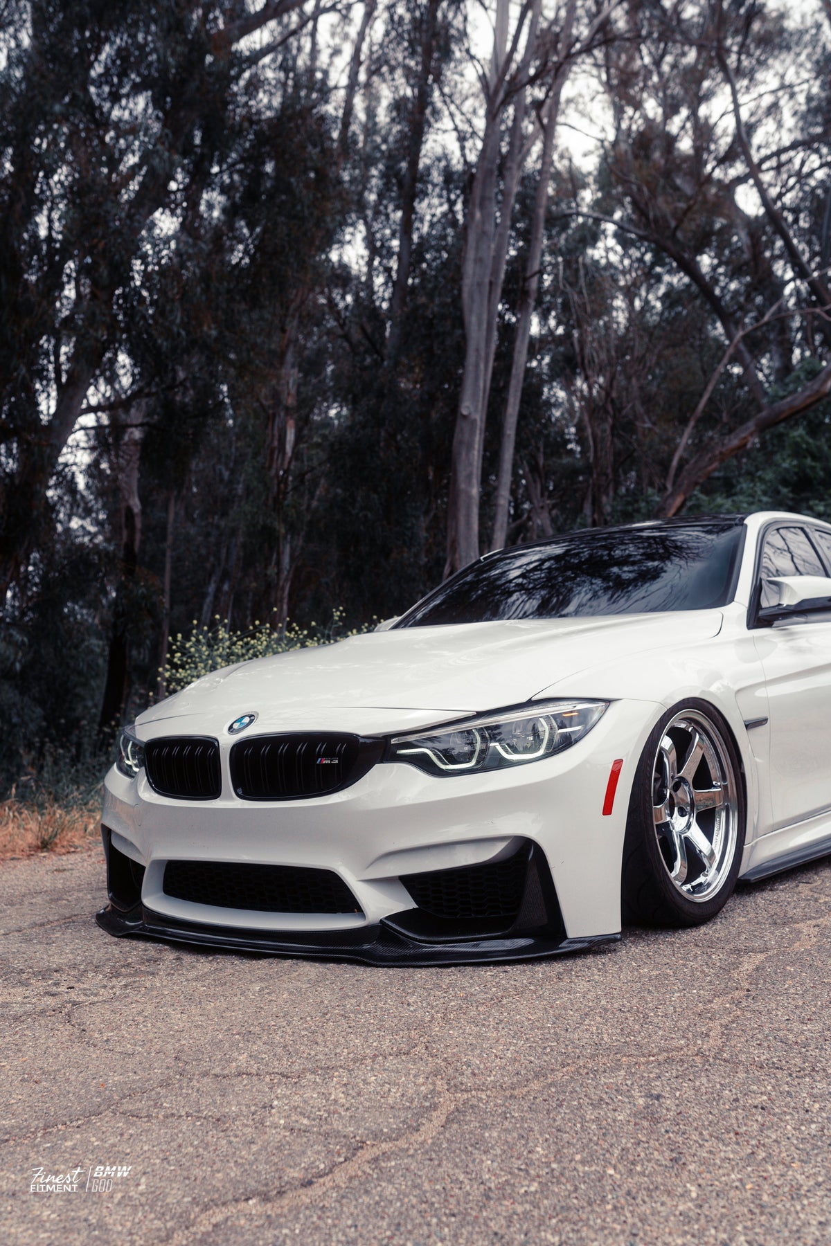 AlpineX Dynamics V Style Carbon Fiber Front Lip For BMW F8X M3 M4